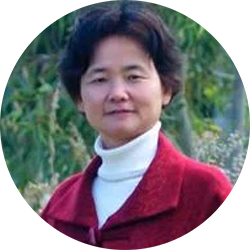 Prof.-Jingbo-Wang